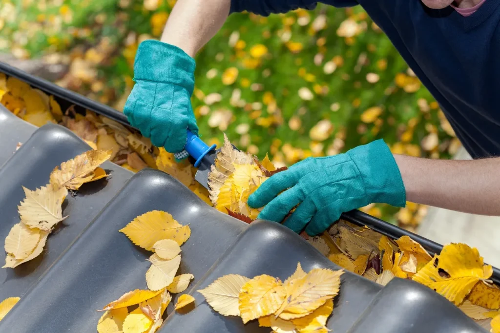 Fall Cleanup Guide